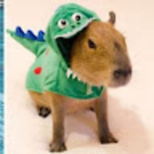 Meet your Posher, Peyton